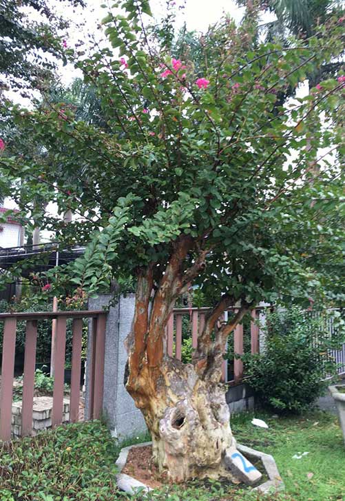开云体育官网｜开云全站网站官方入口